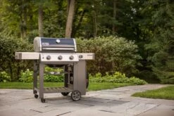 Weber® Genesis® II E-310 GBS Gasbarbecue -Weber BBQ Wereld weber genesis ii e 310 gbs gasbarbecue 1614598263 l