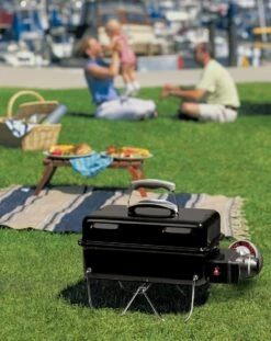 Weber® Go-Anywhere Gasbarbecue 5 Weber® Go-Anywhere Gasbarbecue -Weber BBQ Wereld weber go anywhere gasbarbecue 1614598044 l