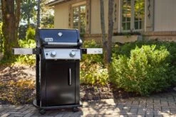 Weber® Spirit E-215 GBS Gasbarbecue -Weber BBQ Wereld weber spirit e 215 gbs gasbarbecue 1614598416 l